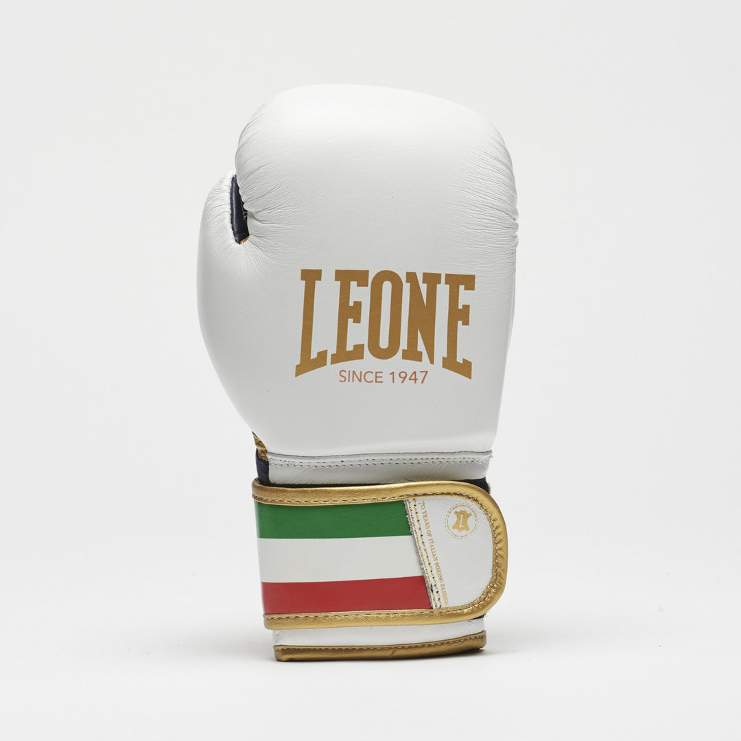 Boxhandschuhe für Kinder Leone Italy, 6 oz