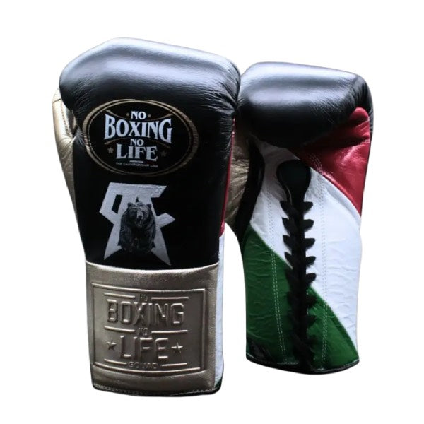 No Boxing No Life Boxhandschuhe von Canelo Álvarez | Exklusive